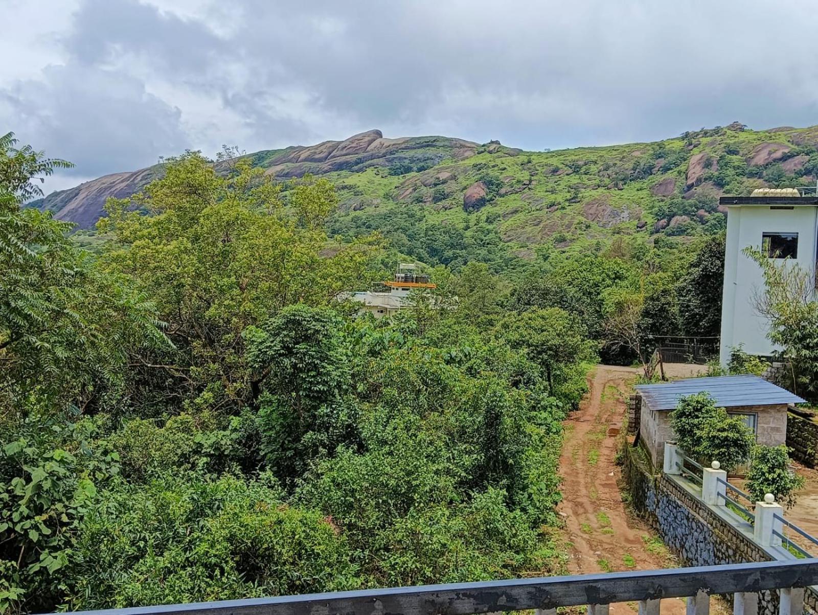 Sharon Valley วากามอน ภายนอก รูปภาพ